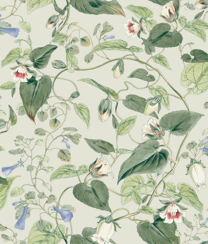 Moon Flower Wallpaper