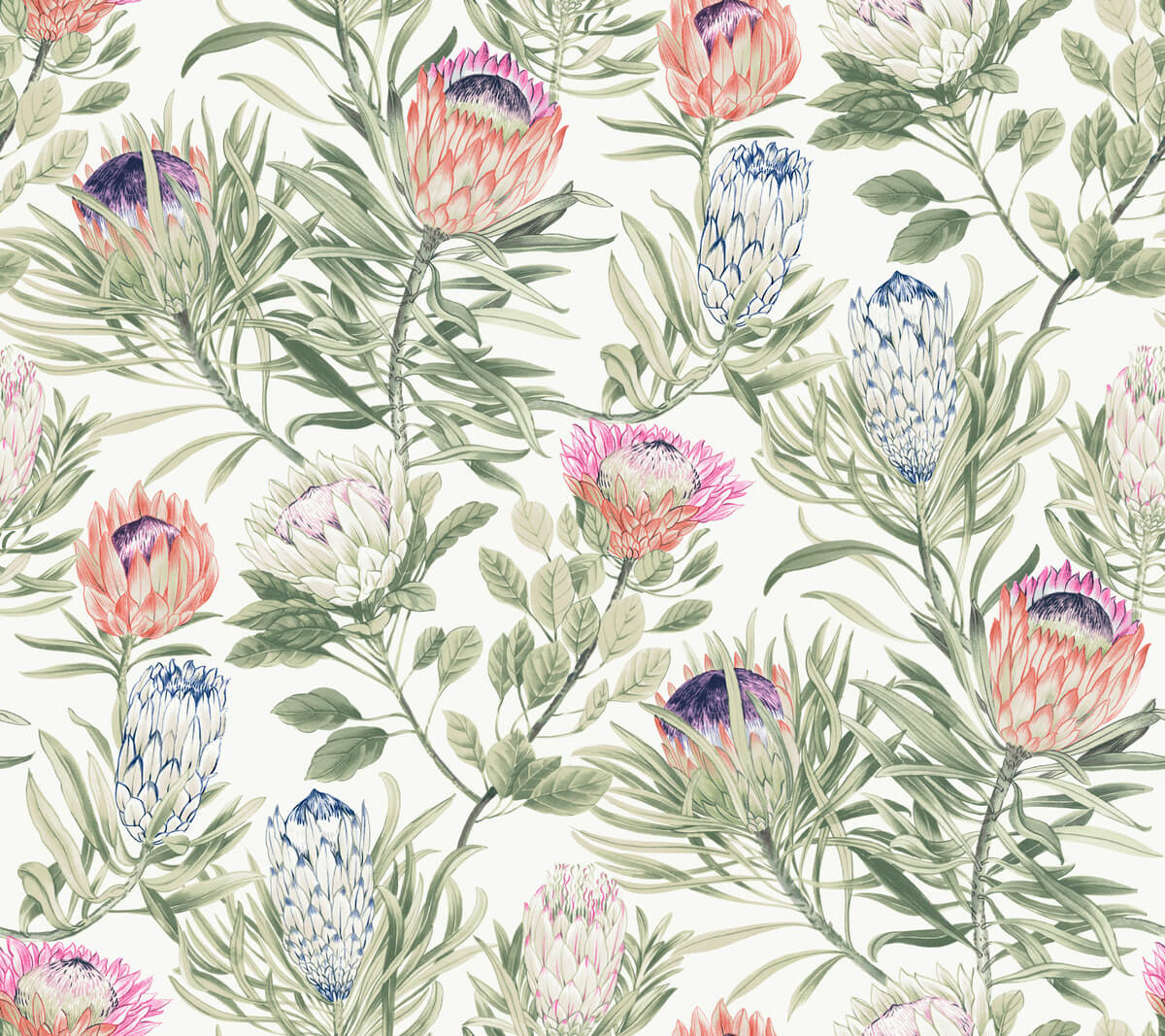 Protea Wallpaper