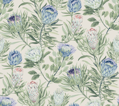 Protea Wallpaper