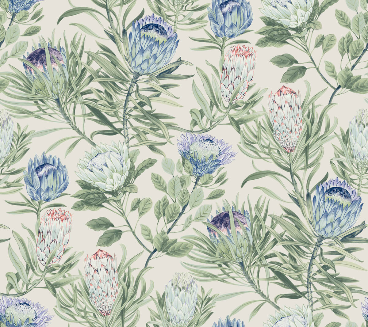 Protea Wallpaper