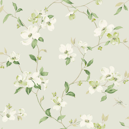 Dogwood Wallpaper