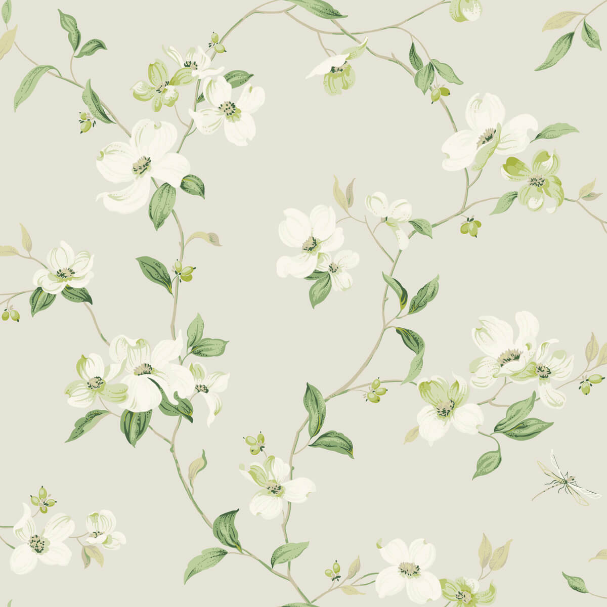 Dogwood Wallpaper