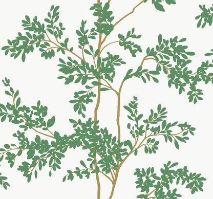 Lunaria Silhouette Wallpaper