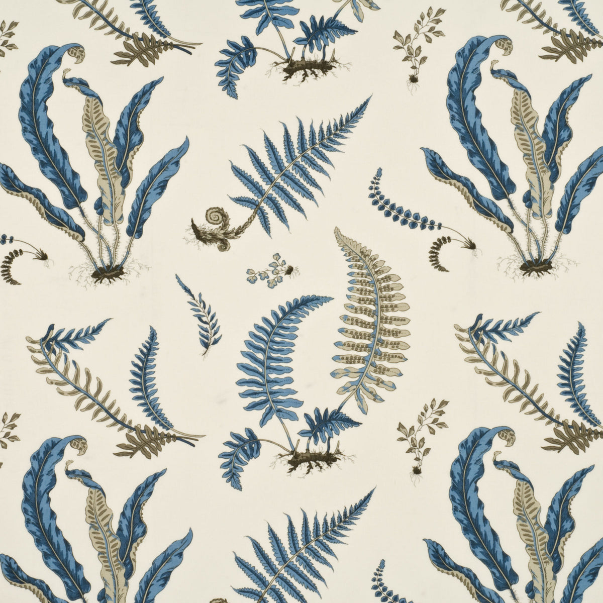 Ferns - Indigo/White