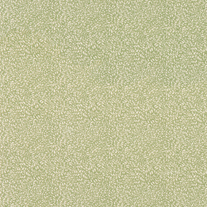 Tansy Fabric by G P & J Baker in Green