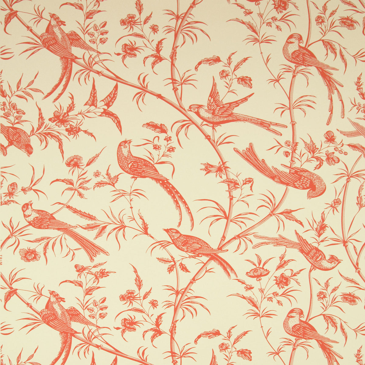 Bengali Wallpaper by Brunschwig & Fils in Rose
