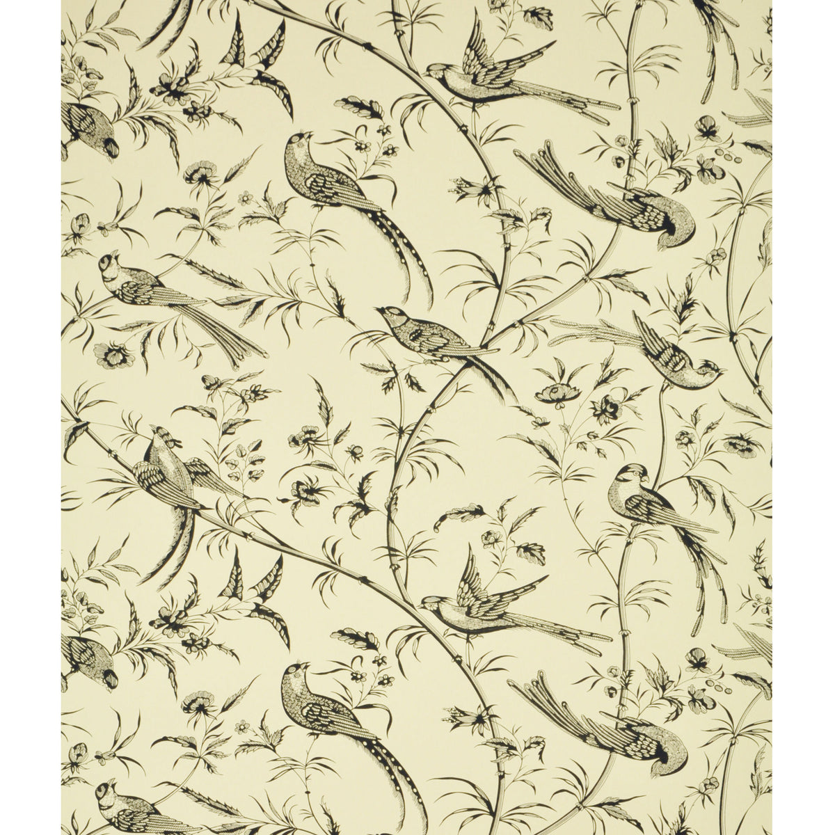 Bengali Wallpaper by Brunschwig & Fils in Black