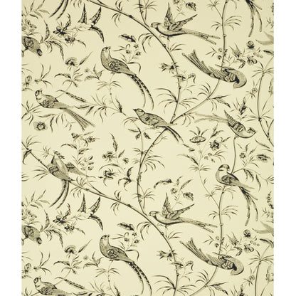 Bengali Wallpaper by Brunschwig & Fils in Black