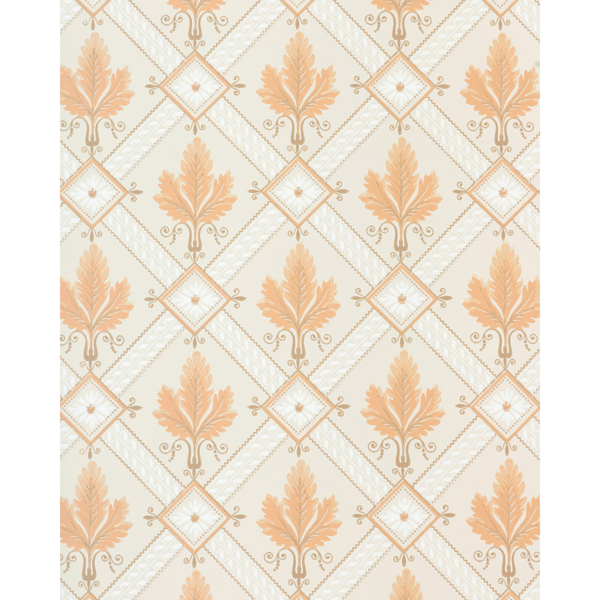 Latrobe - Apricot