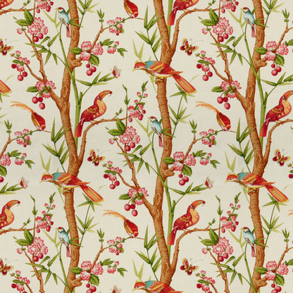Toucans Fabric by Brunschwig & Fils in Pink/Orange