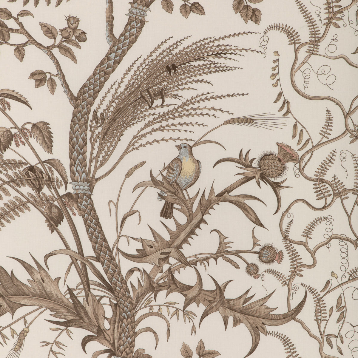 Bird And Thistle Cotton Print Fabric by Brunschwig & Fils in Beige