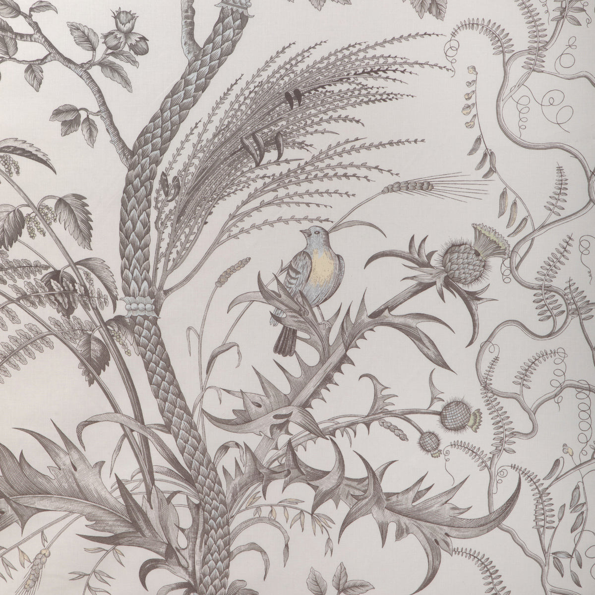 Bird And Thistle Cotton Print Fabric by Brunschwig & Fils in Gray