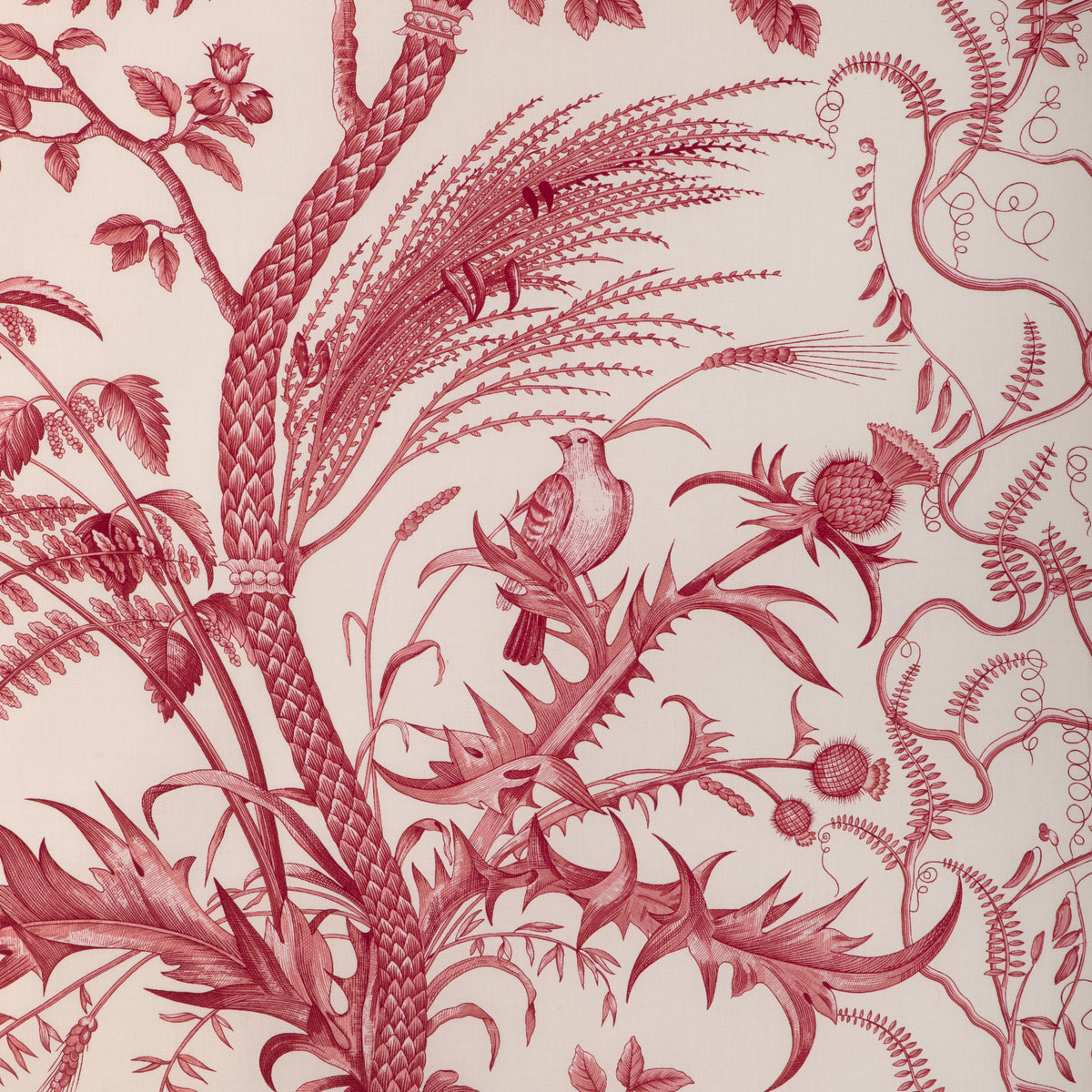 Bird And Thistle Cotton Print Fabric by Brunschwig & Fils in Red