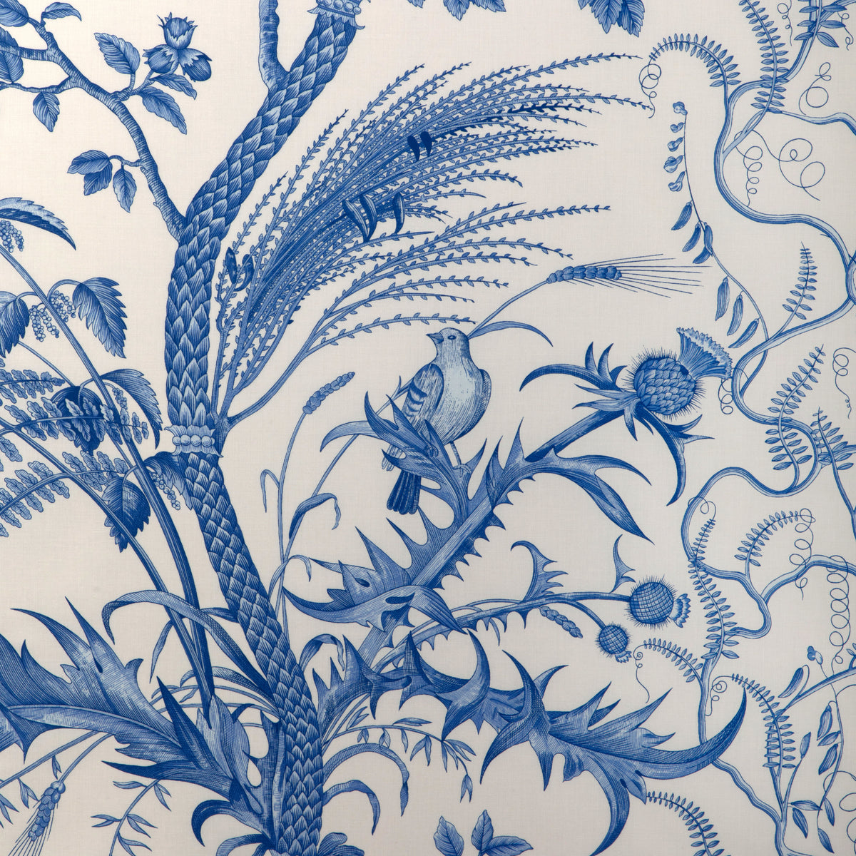 Bird And Thistle Cotton Print Fabric by Brunschwig & Fils in Blue