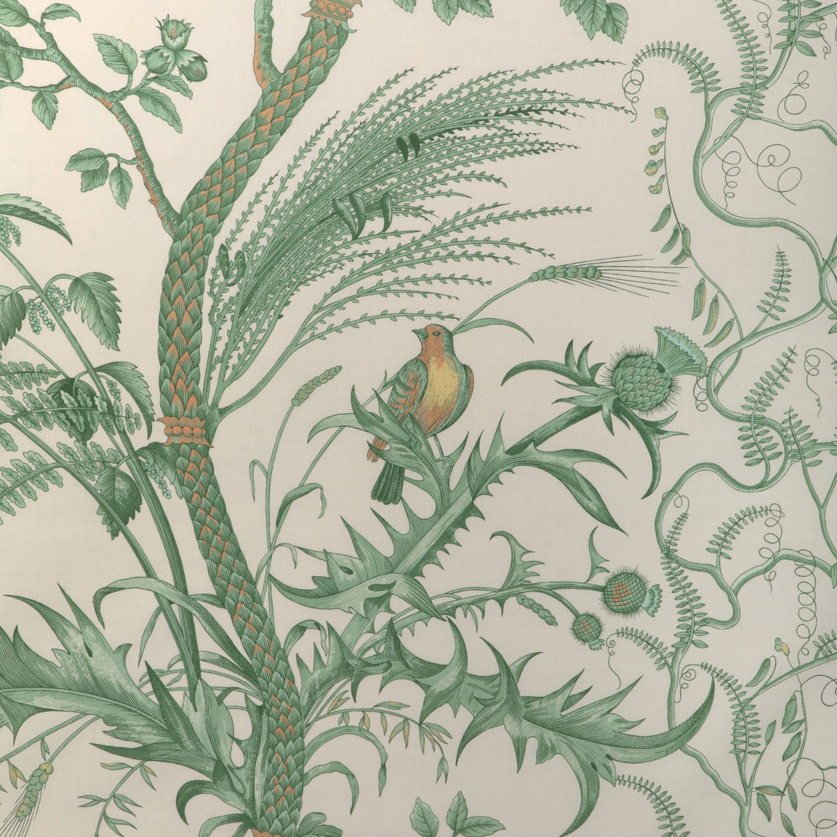 Bird And Thistle Cotton Print Fabric by Brunschwig & Fils in Green