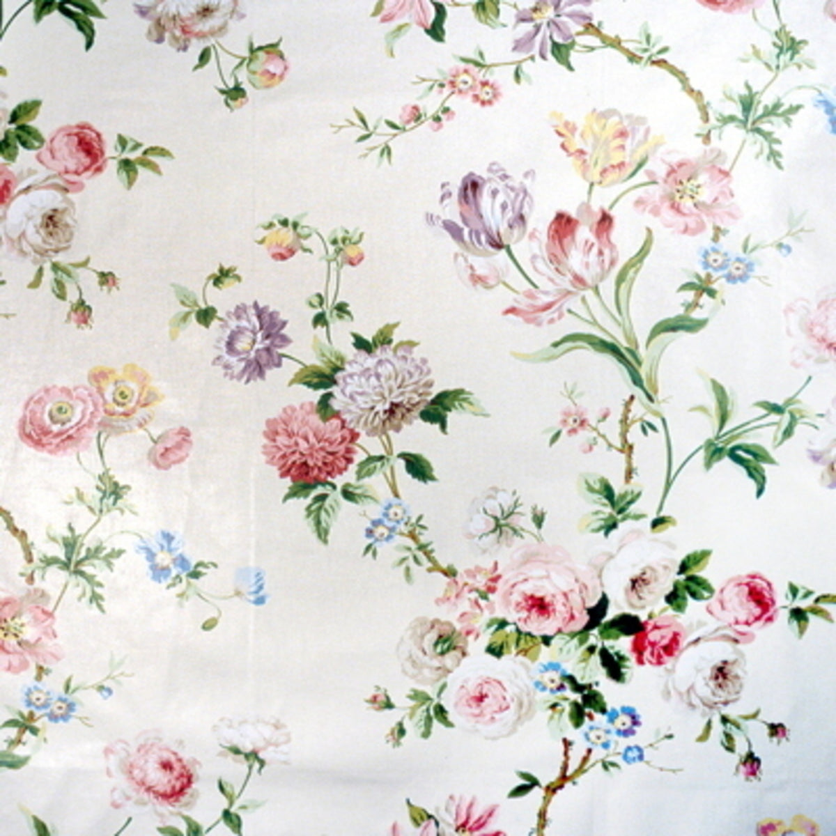 Bien-Aimee Cotton Print Fabric by Brunschwig & Fils in Vanilla