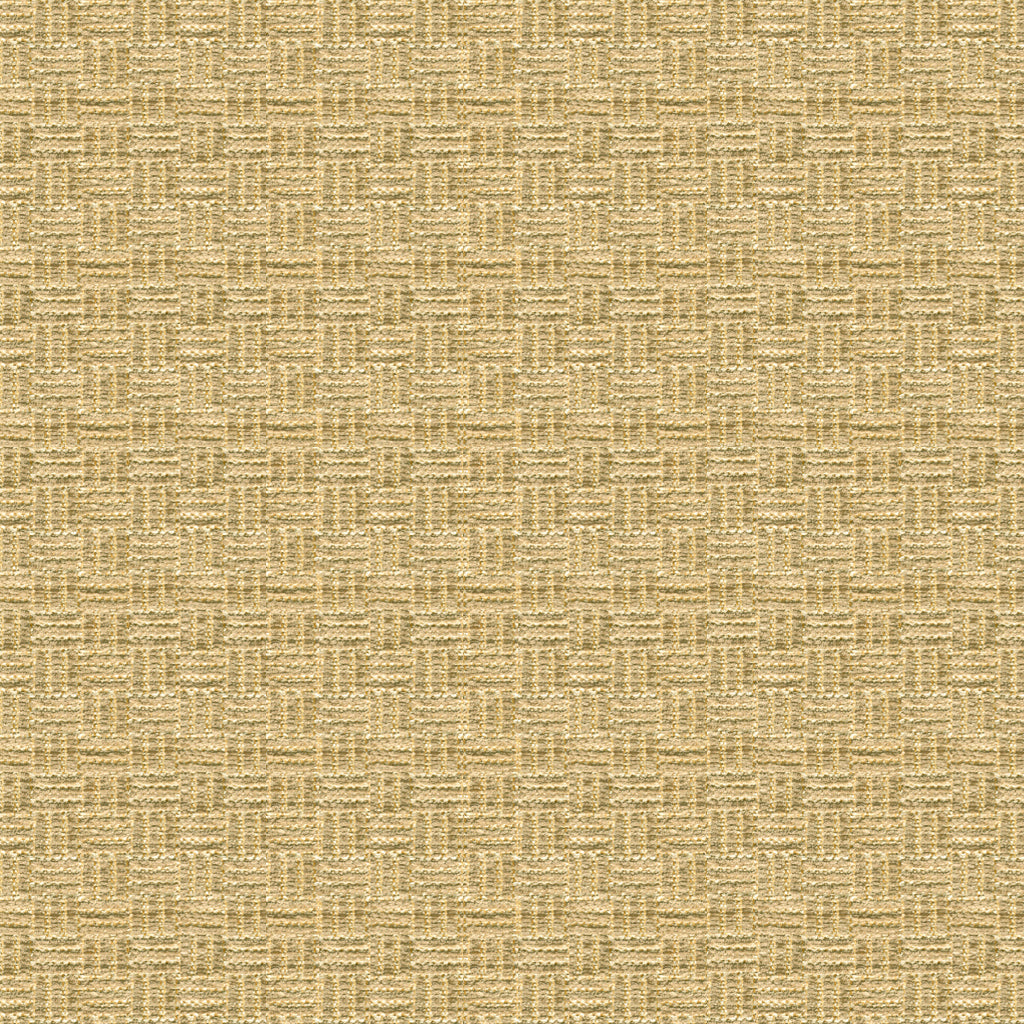 Reed Texture Fabric by Brunschwig & Fils in Linen