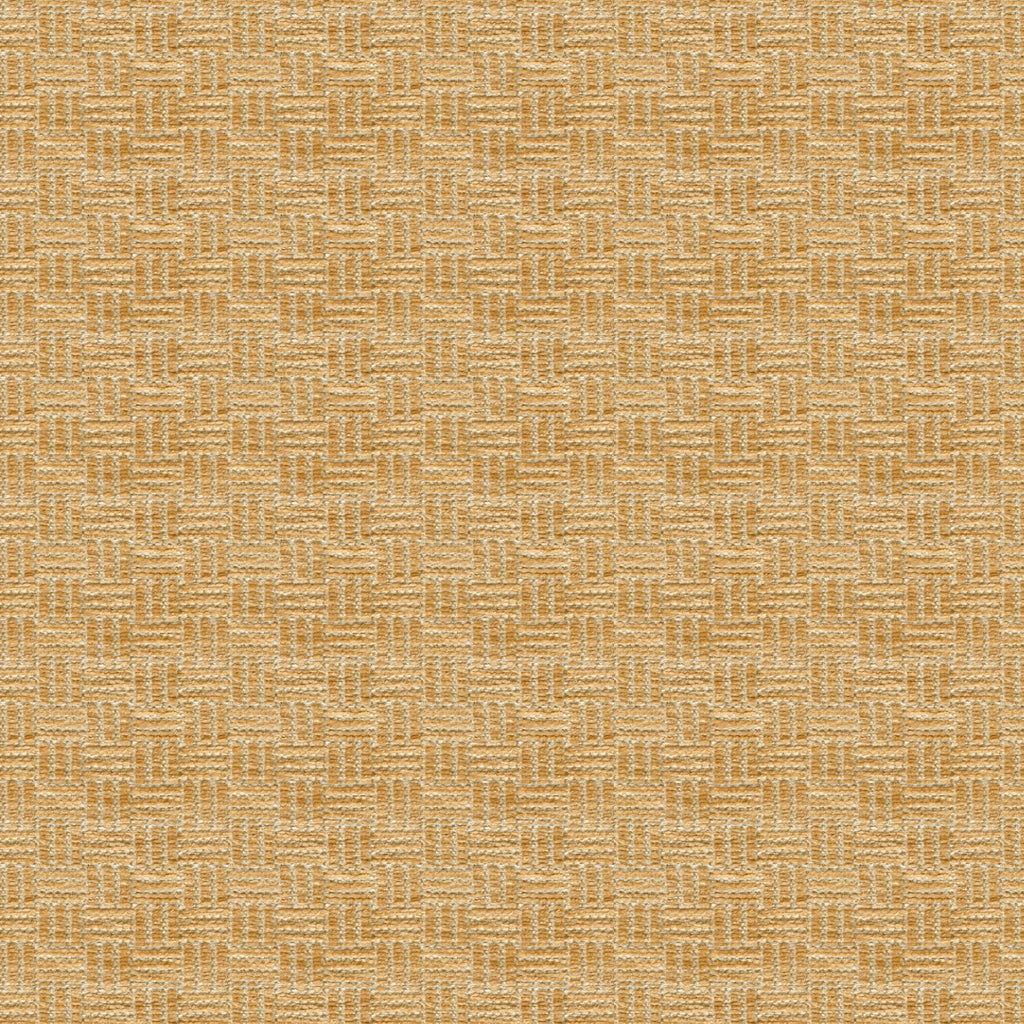 Reed Texture Fabric by Brunschwig & Fils in Biscuit