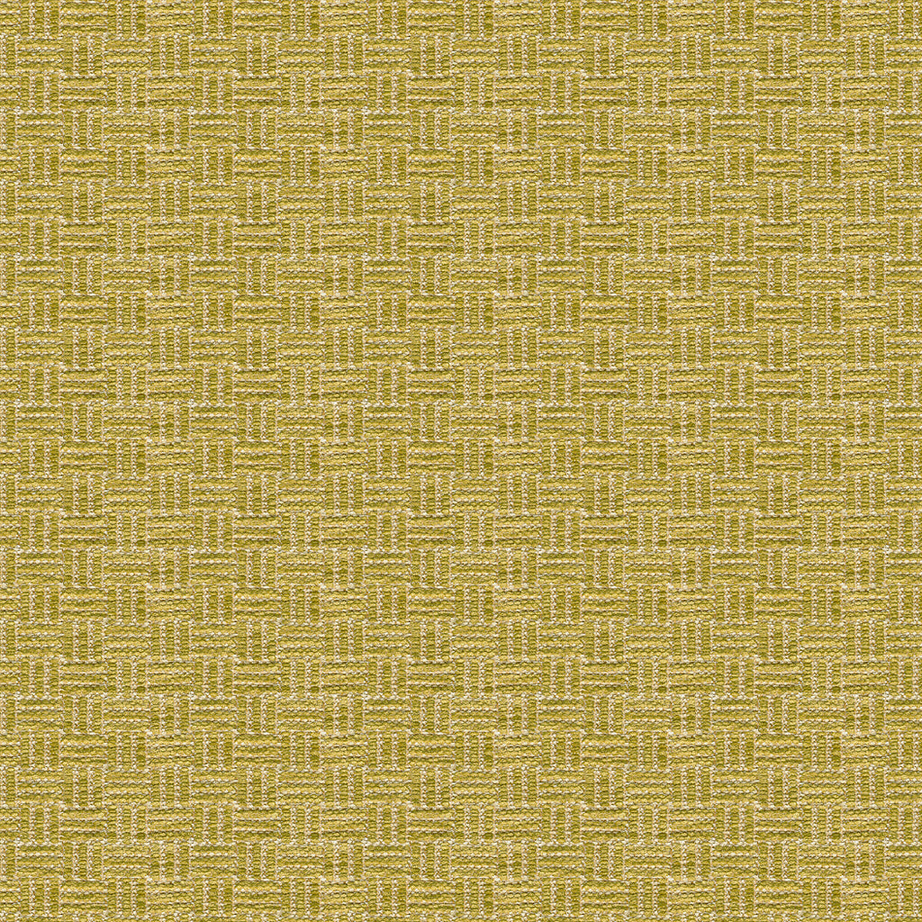 Reed Texture Fabric by Brunschwig & Fils in Lichen