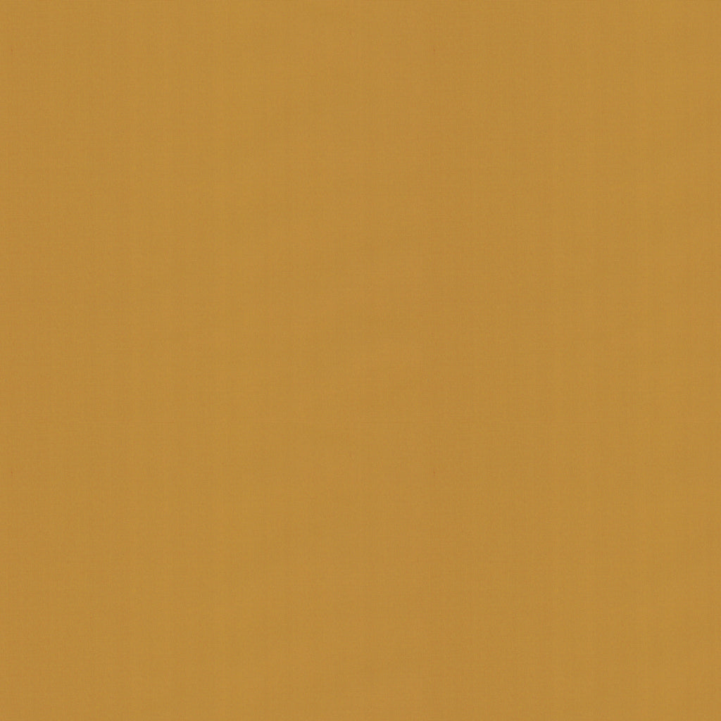 Ninon Taffetas Fabric by Brunschwig & Fils in Blonde