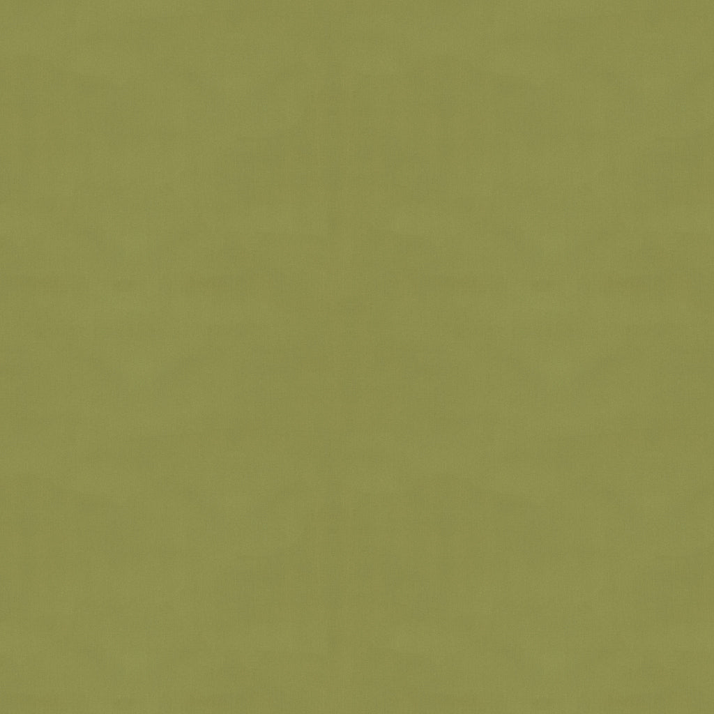 Ninon Taffetas Fabric by Brunschwig & Fils in Fern
