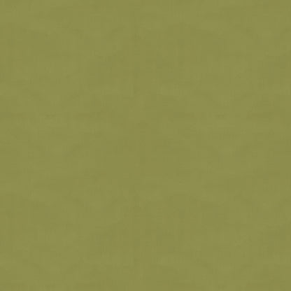 Ninon Taffetas Fabric by Brunschwig & Fils in Fern