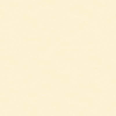 Ninon Taffetas Fabric by Brunschwig & Fils in Blanc