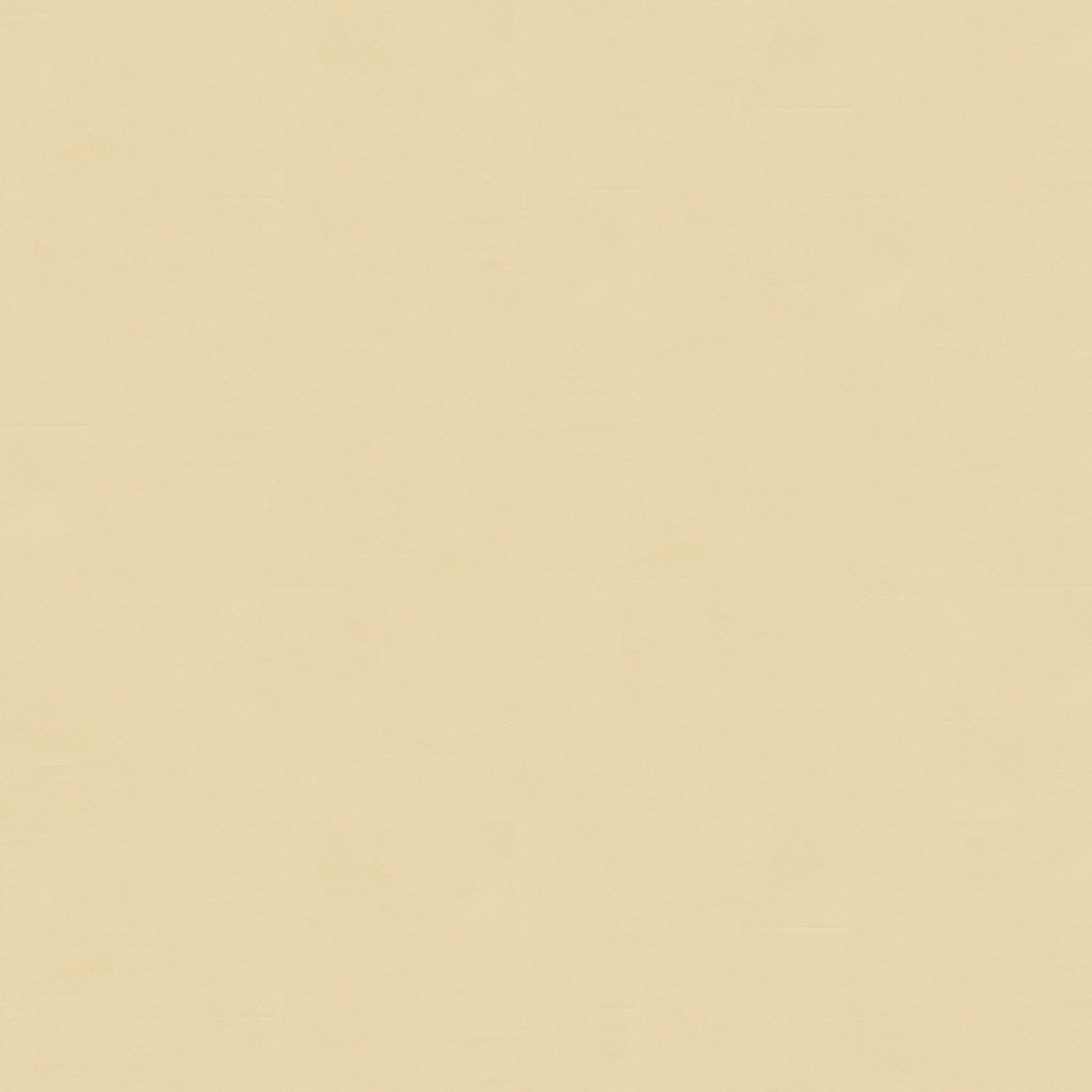 Ninon Taffetas Fabric by Brunschwig & Fils in Gris