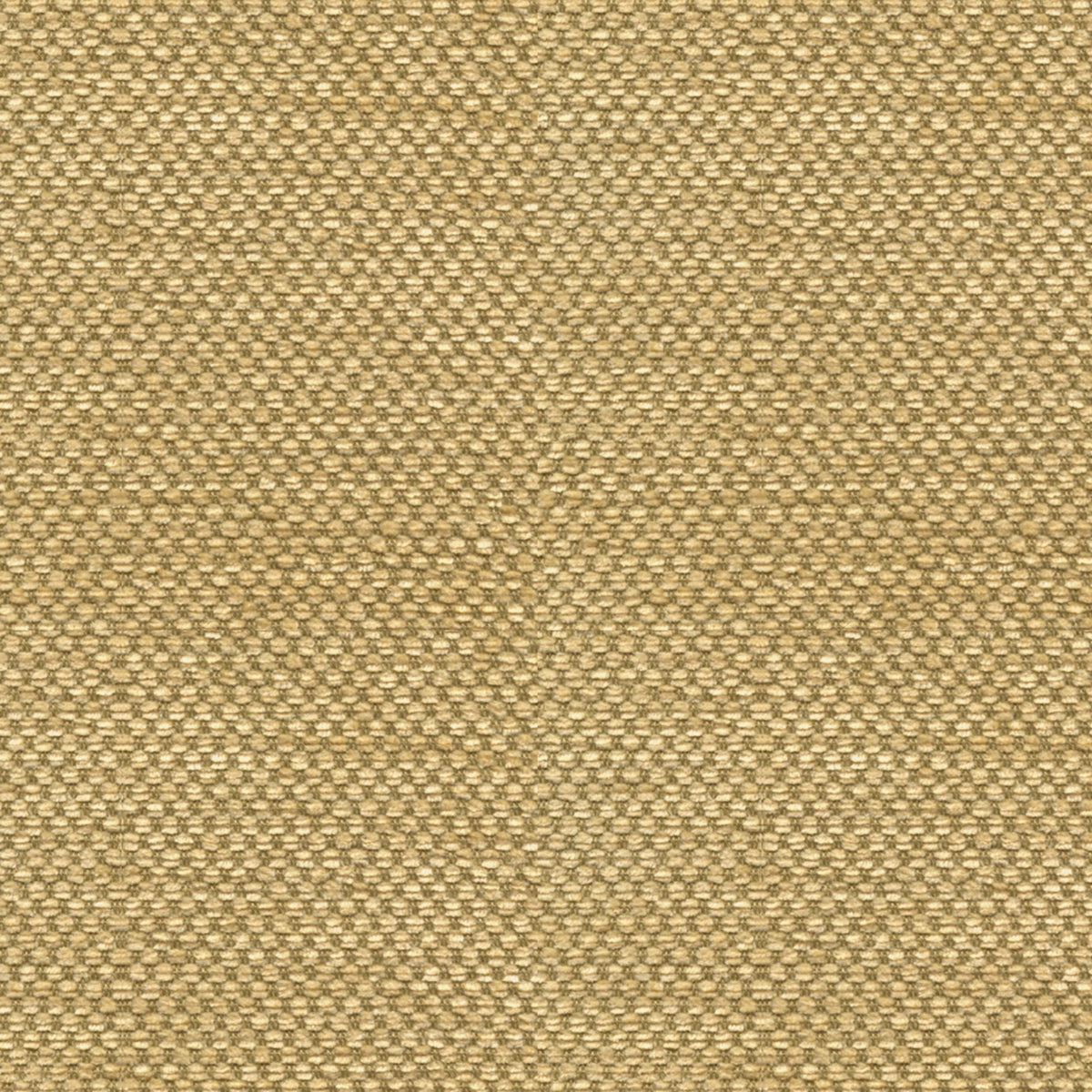 Yorke Chenille Fabric by Brunschwig & Fils in Gold With Beige