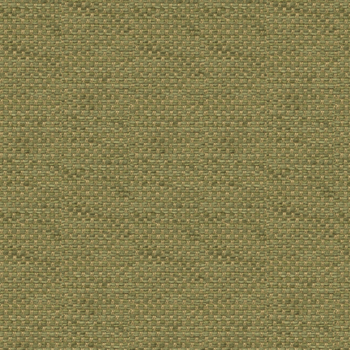 Yorke Chenille Fabric by Brunschwig & Fils in Moss