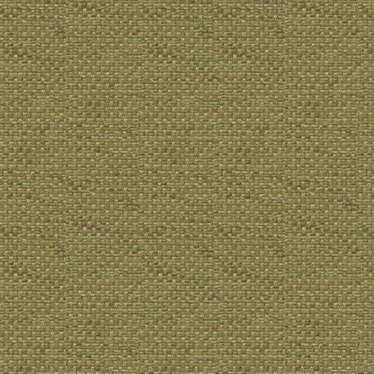 Yorke Chenille Fabric by Brunschwig & Fils in Moss