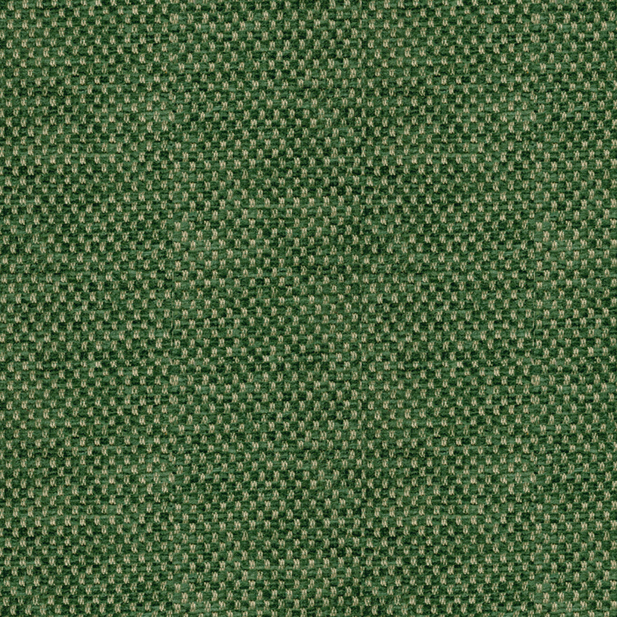 Yorke Chenille Fabric by Brunschwig & Fils in Forest