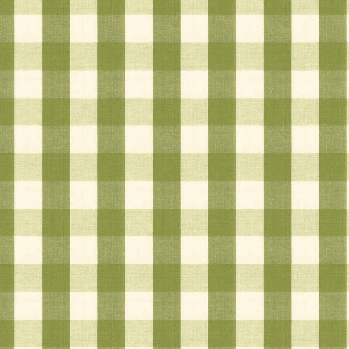 Carsten Check Fabric by Brunschwig & Fils in Leaf