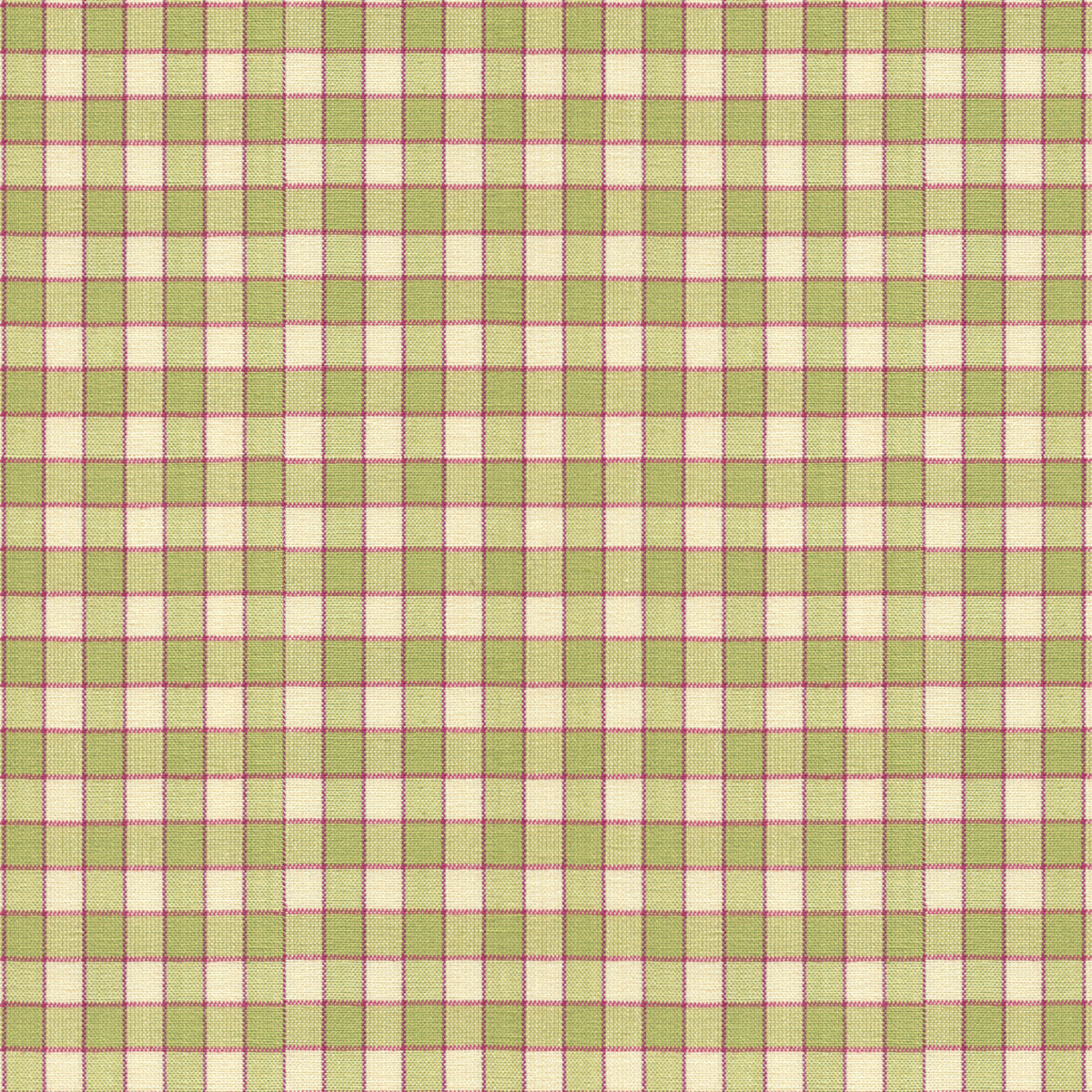 La Seyne Check Fabric by Brunschwig & Fils in Apple