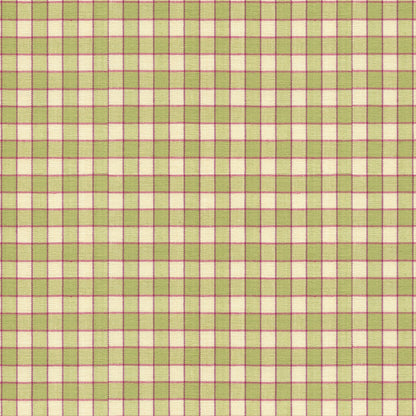 La Seyne Check Fabric by Brunschwig & Fils in Apple