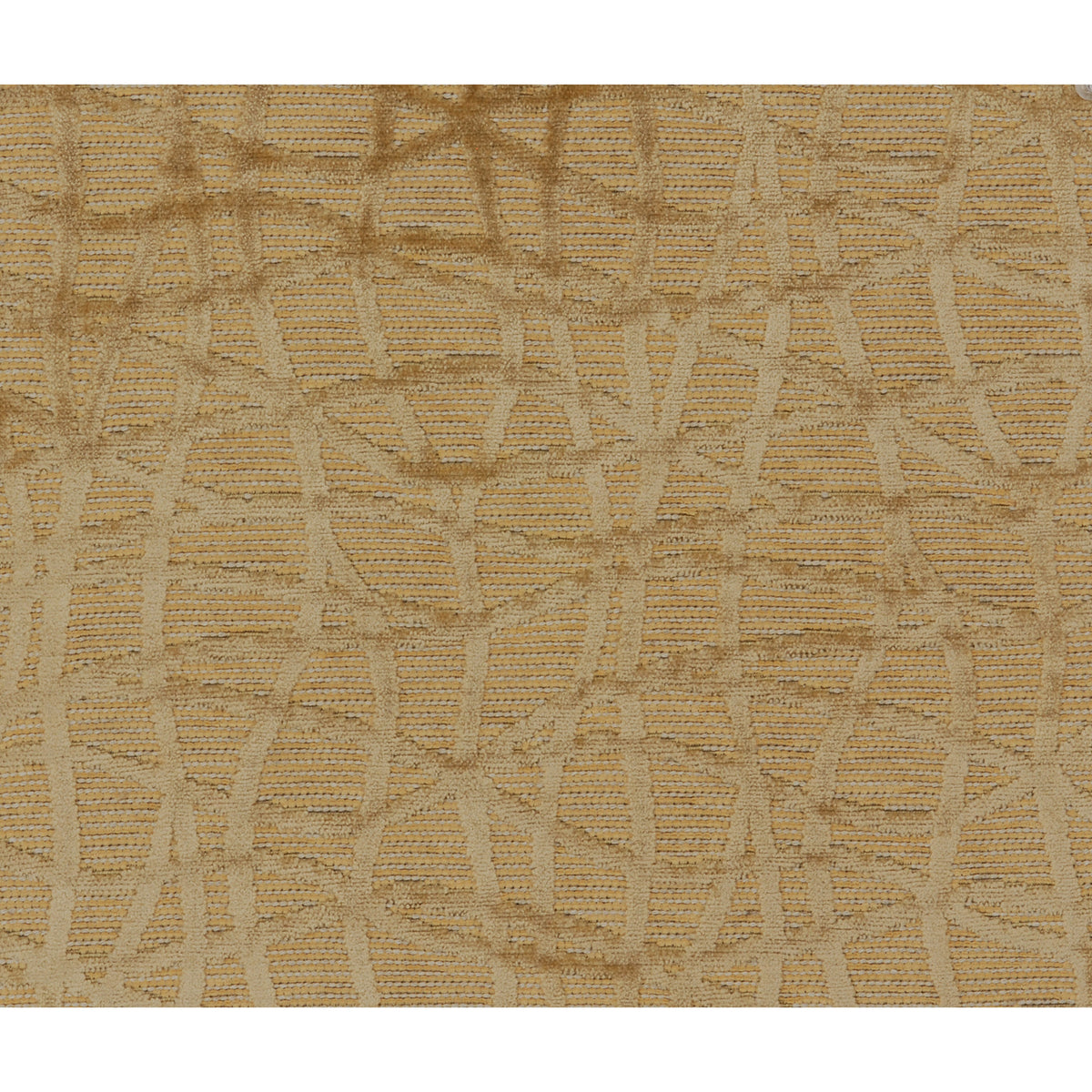 Ashanti Woven Fabric by Brunschwig & Fils in Raffia