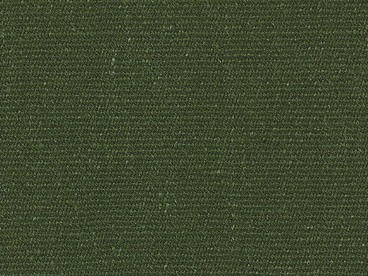 Buray Shardang Conifer
