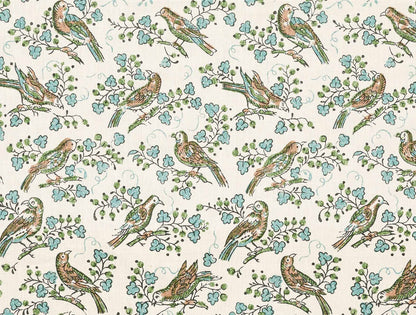 Bulbul Juniper