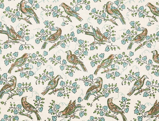 Bulbul Juniper