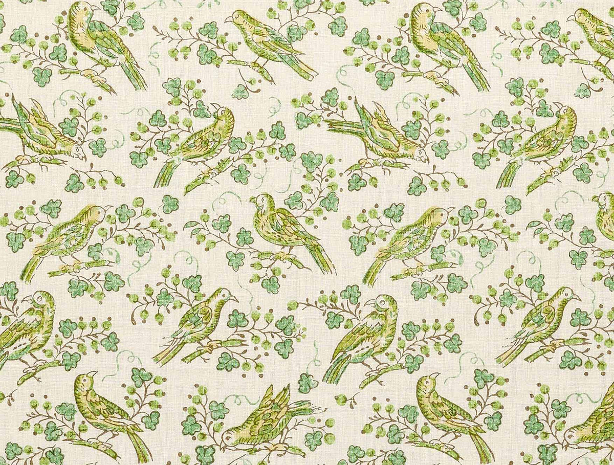 Bulbul Lemongrass