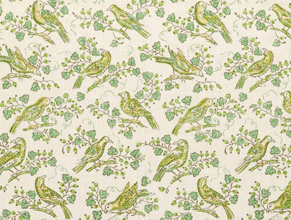 Bulbul Lemongrass