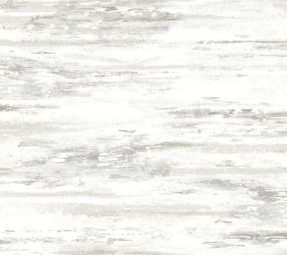 Birch Bark Texture Wallpaper