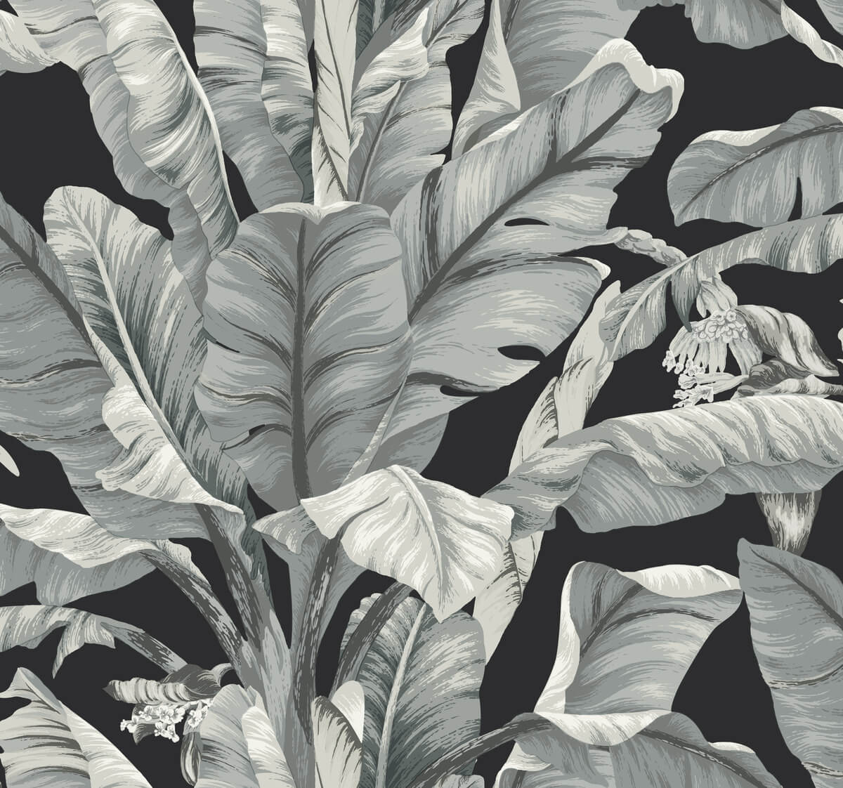 Banana Leaf Wallpaper