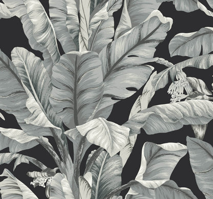 Banana Leaf Wallpaper