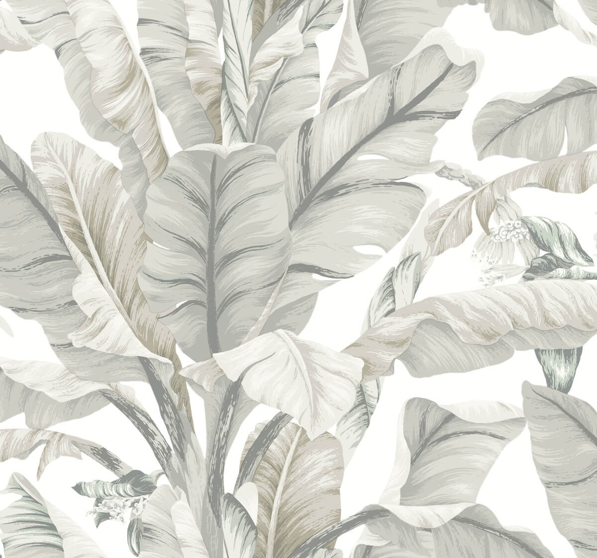 Banana Leaf Wallpaper