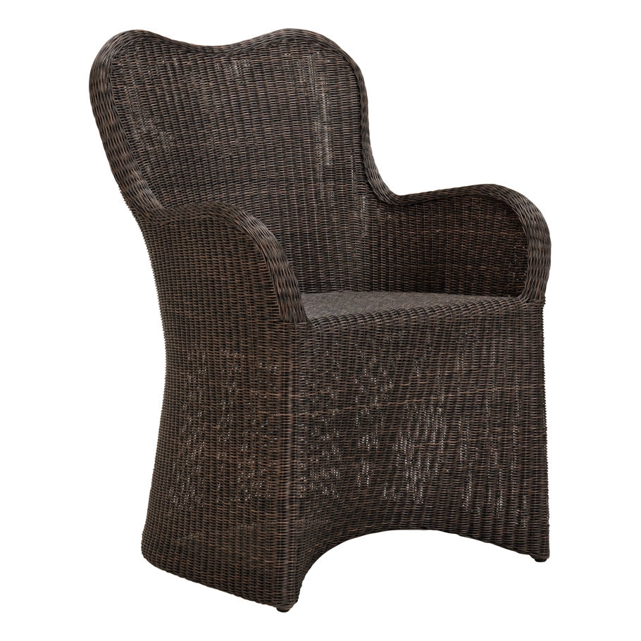 Butterfly II Armchair by JANUS et Cie in Java