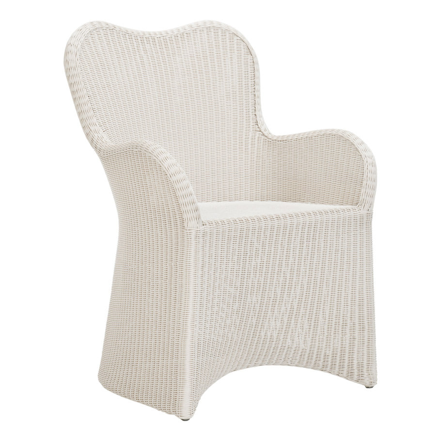 Butterfly II Armchair by JANUS et Cie in Vellum