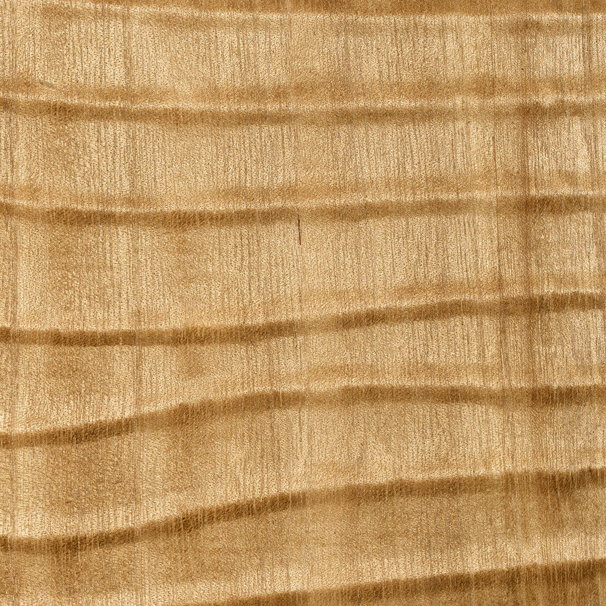 Dunes Wallpaper by CMO Paris in Blond