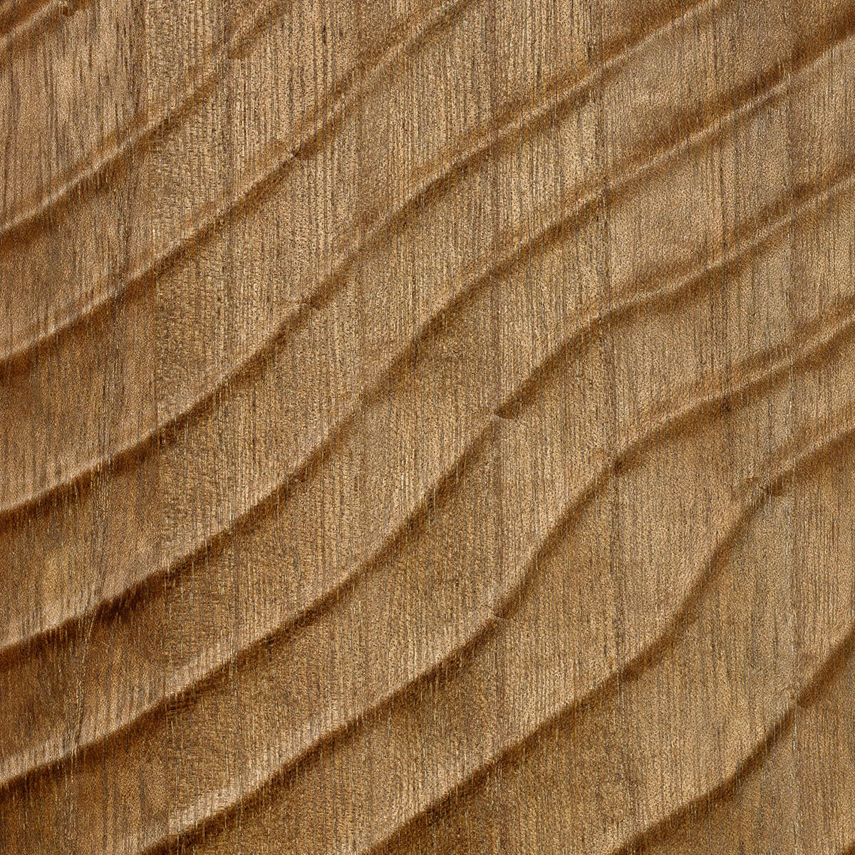 Dunes Wallpaper by CMO Paris in Mocha