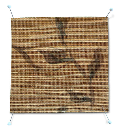 Camille Grasscloth Wallpaper Mural by Serena Dugan in Saddle